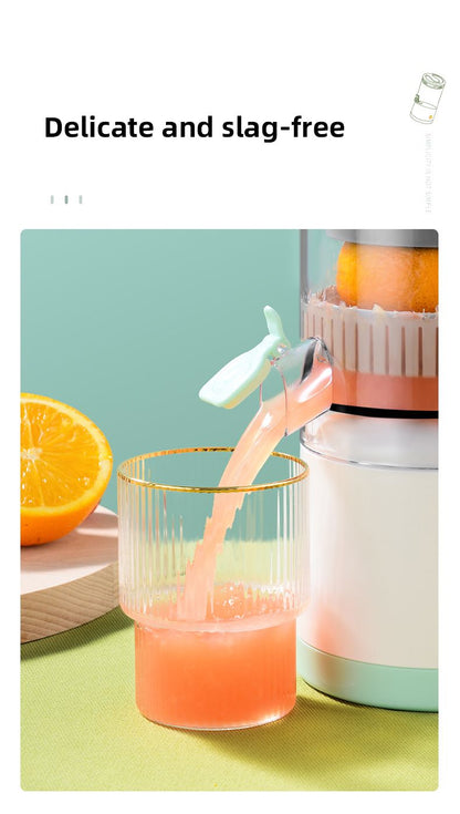 Automatic Fruit Juicer